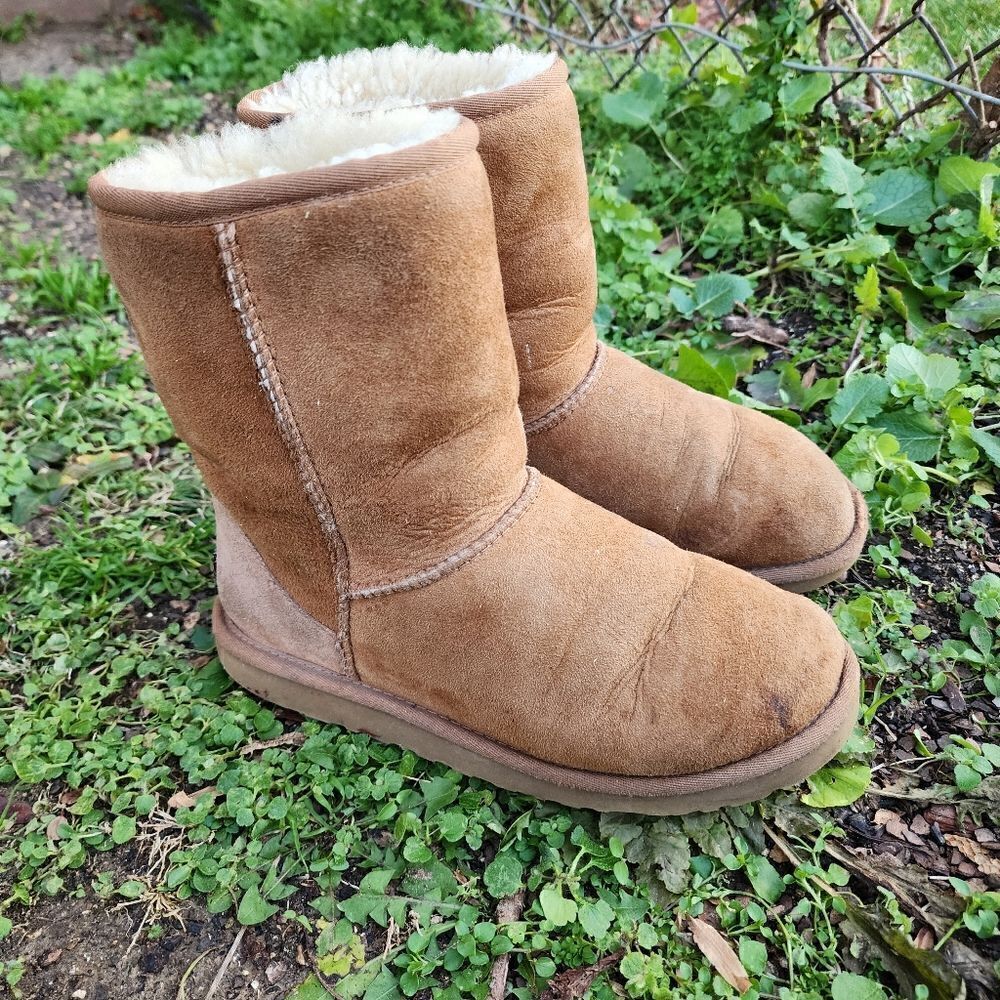 UGG AUSTRALIA - Womens Winter Boots - SIZE 6